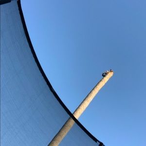 Meet your Posher, Milton